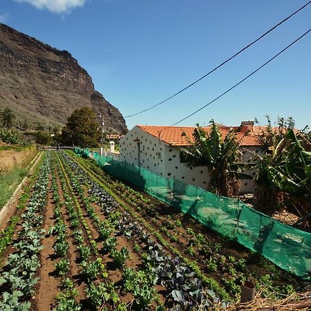 Casa Celia Villa Valle Gran Rey Kültér fotó